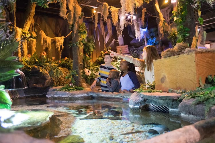 Catawba Science Center — photo 1 of 1