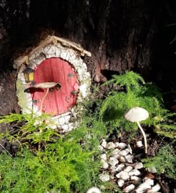 The Magic Tree Box
