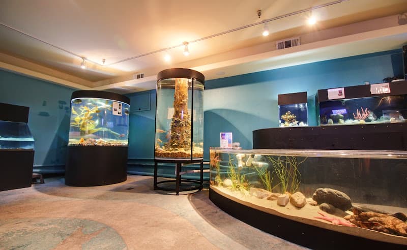 Central Coast Aquarium — photo 1 of 1