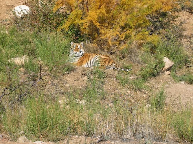 Keepers of the Wild Nature Park — thumbnail 2