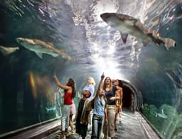 Adventure Aquarium