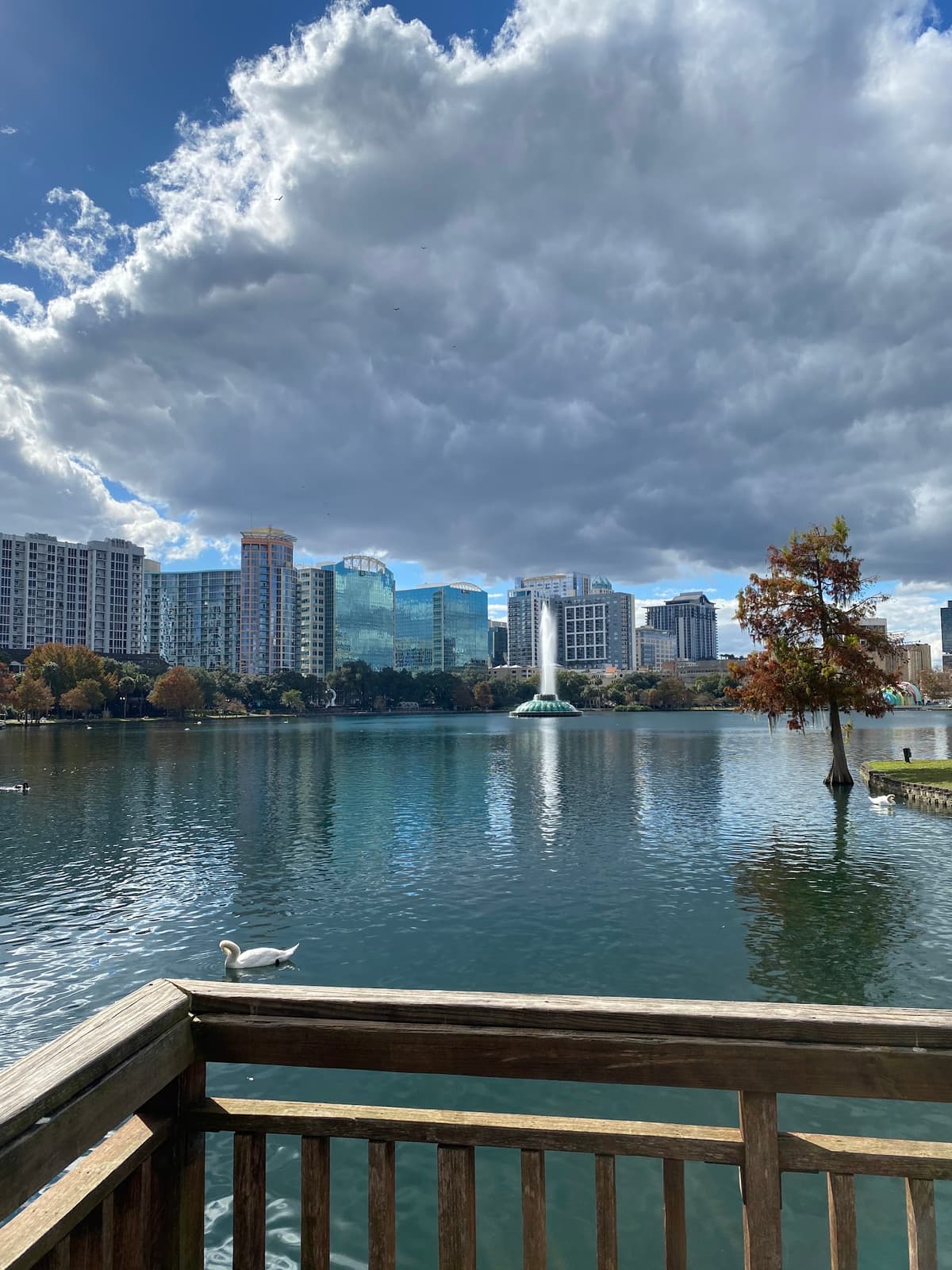 Family activities in Orlando