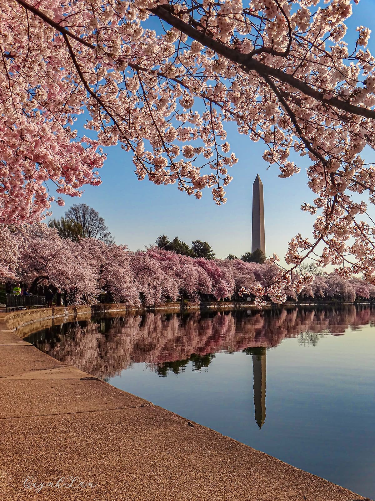 Family activities in Washington DC