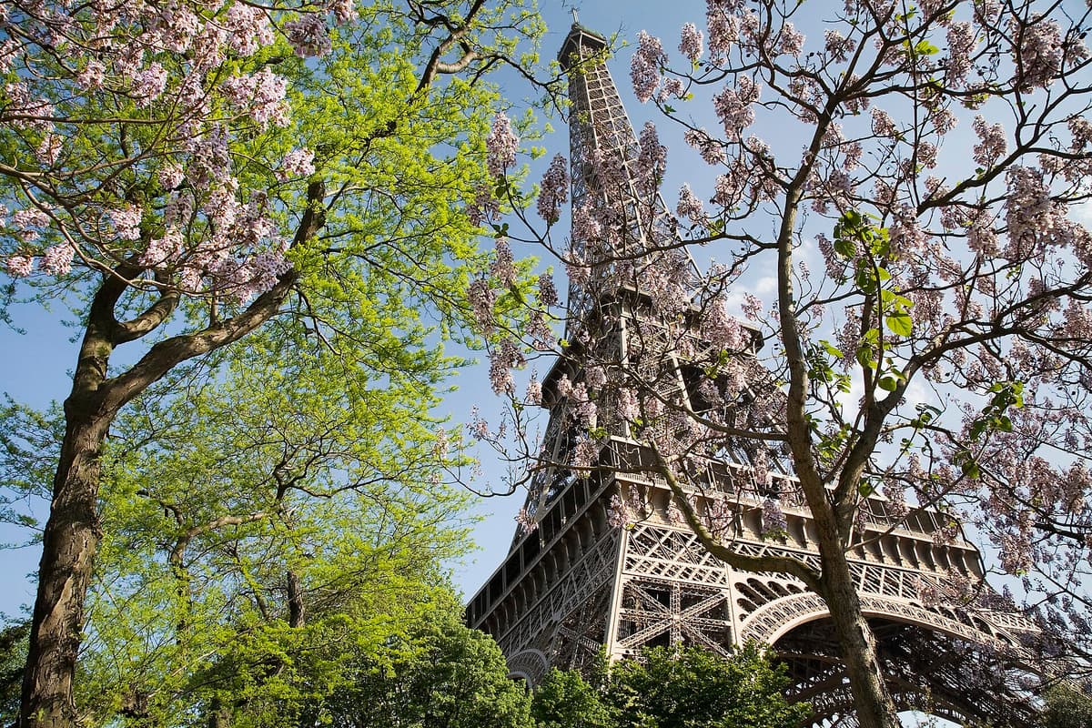Family activities in Paris