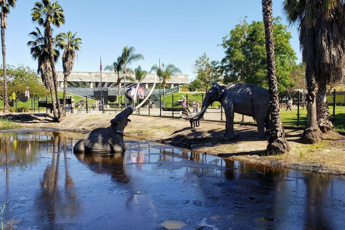 La Brea Tar Pits and Museum