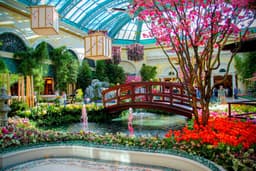 Bellagio Conservatory & Botanical Gardens