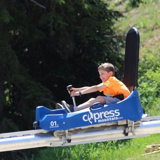 Cypress Eagle Coaster, photo 1 of 2