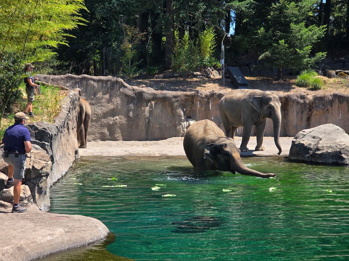 Oregon Zoo