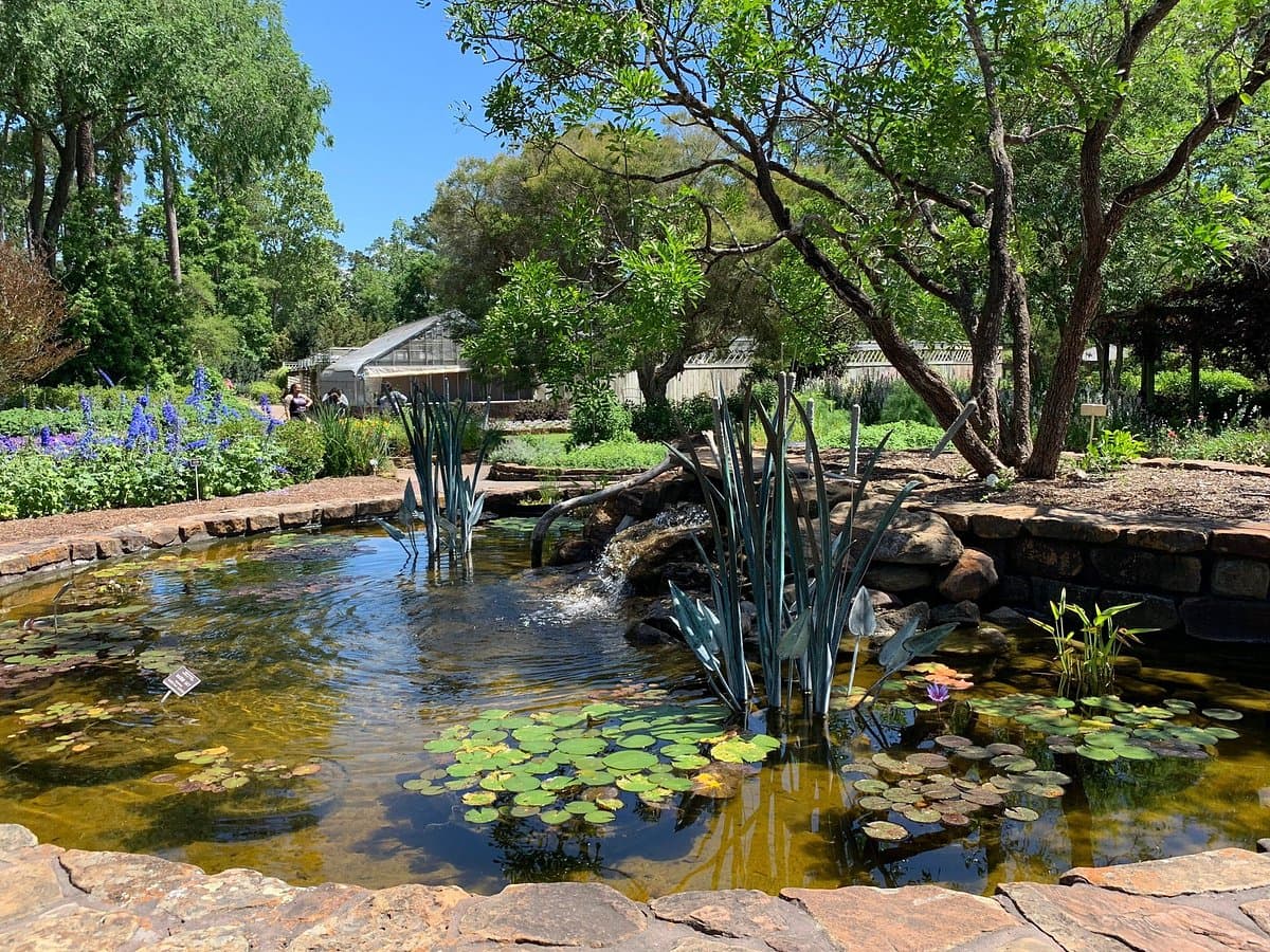 Mercer Botanic Gardens — photo 1 of 6
