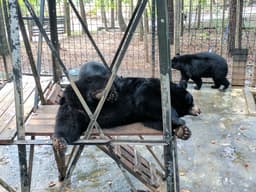 Yellow River Wildlife Sanctuary
