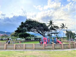 Hui Aloha Playground