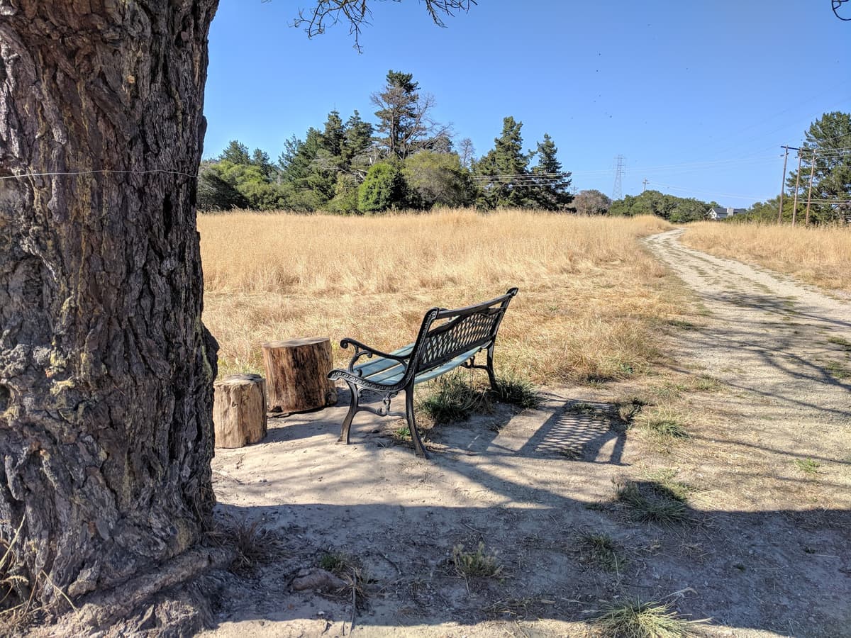 Santa Cruz Gardens County Park