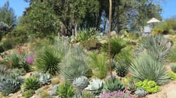 Santa Cruz Gardens County Park