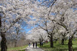 High Park