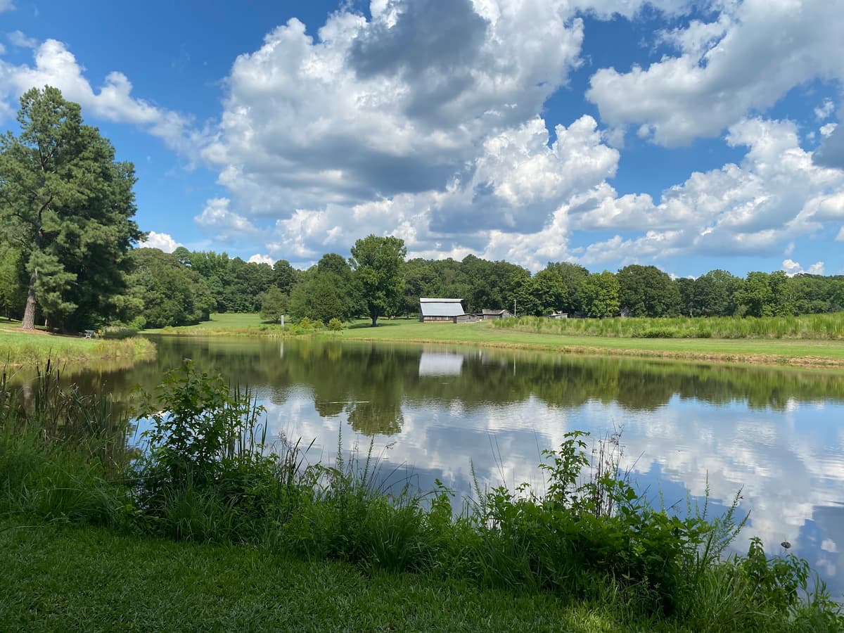 Blackwood Farm Park