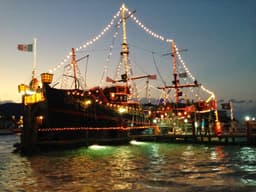 Captain Hook Pirate Ship