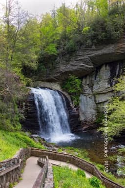 Looking Glass Falls