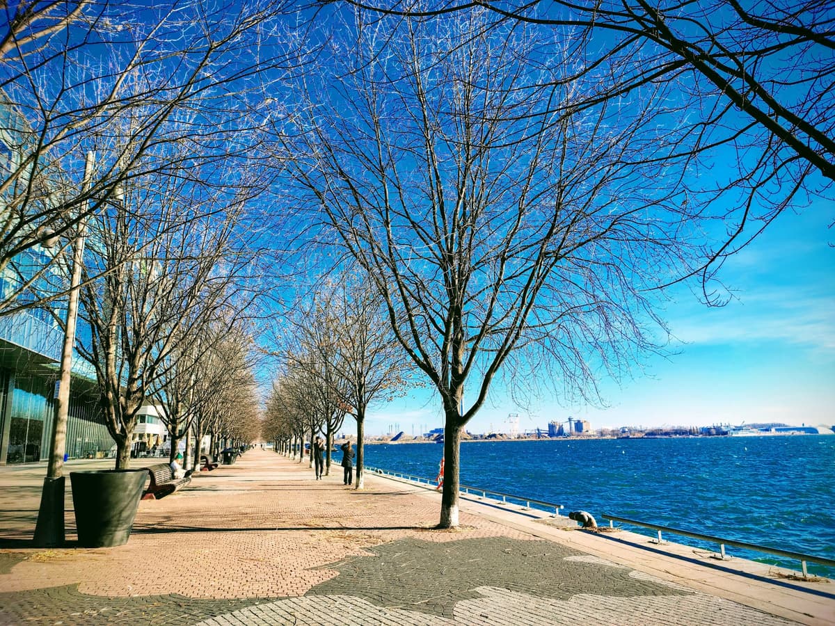 Sherbourne Waterfront Edge, photo 1 of 1