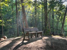 Parker Woods