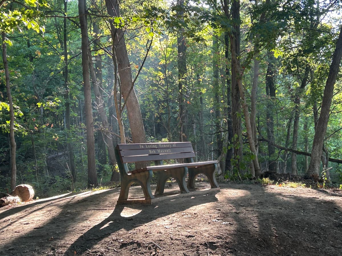 Parker Woods