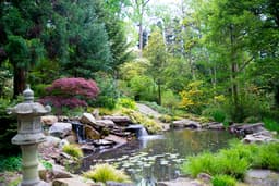 Susie Harwood Garden