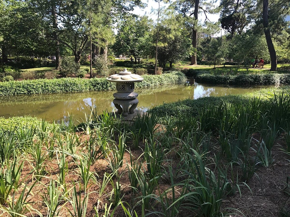 Japanese Garden