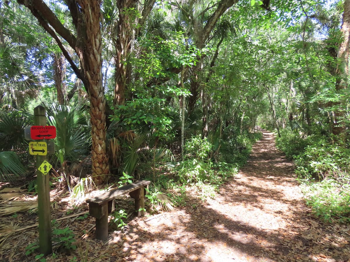 Brevard County Enchanted Forest Sanctuary