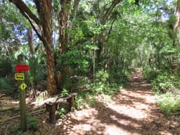 Brevard County Enchanted Forest Sanctuary