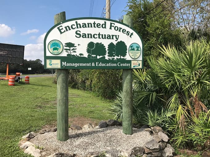 Brevard County Enchanted Forest Sanctuary