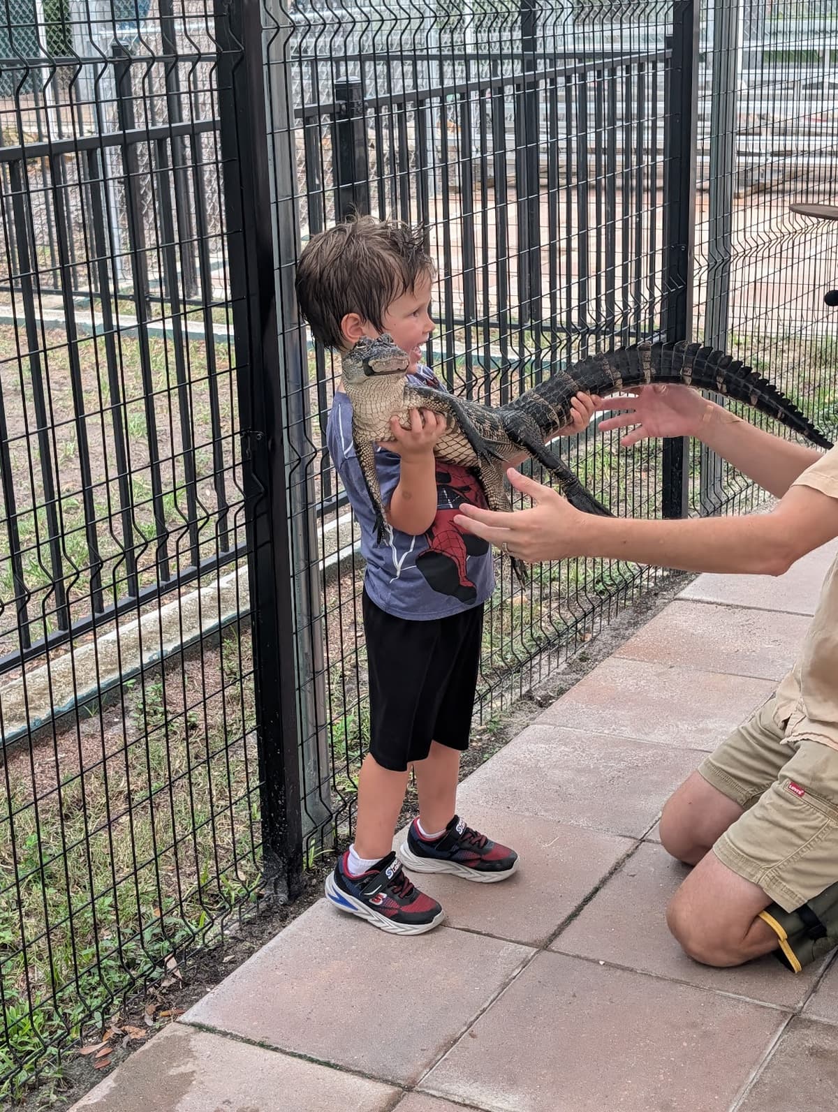 Tarpon Springs Aquarium & Sanctuary