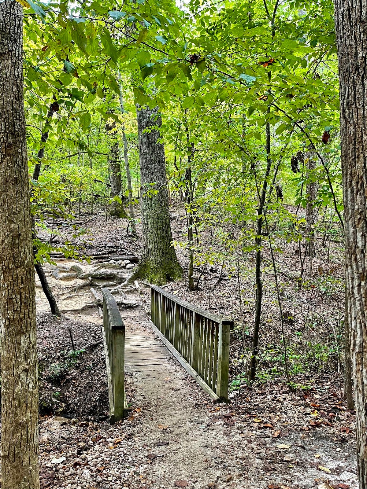 William B. Umstead State Park
