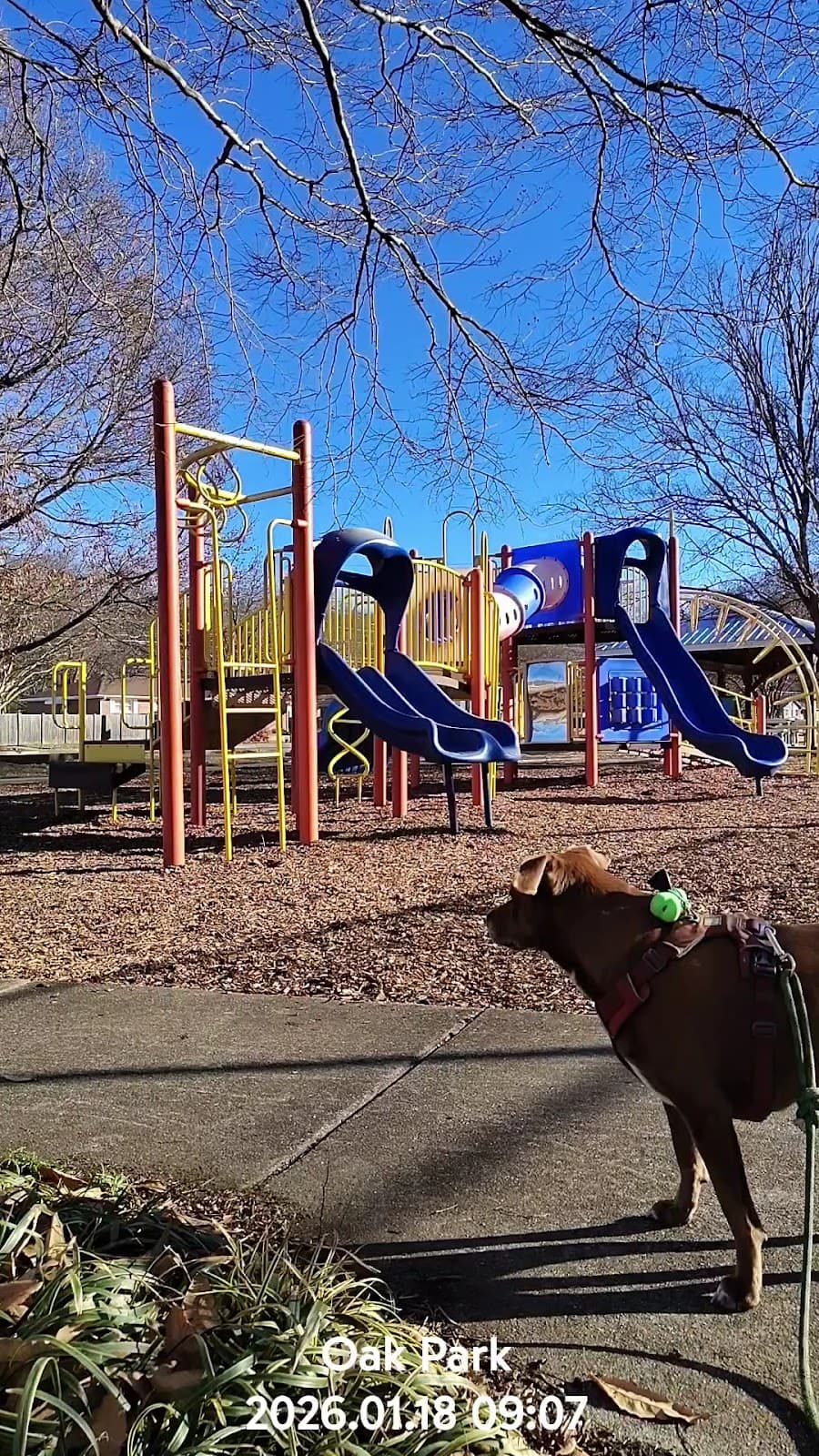 Optimist Park