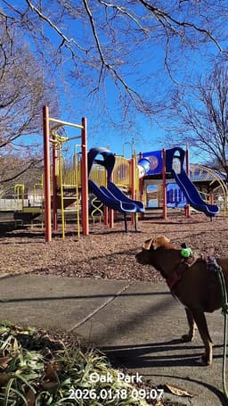 Optimist Park