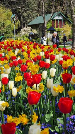 Tours en Espanol Vancouver Ltd.