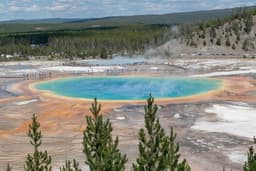 Grand Prismatic Spring Overlook