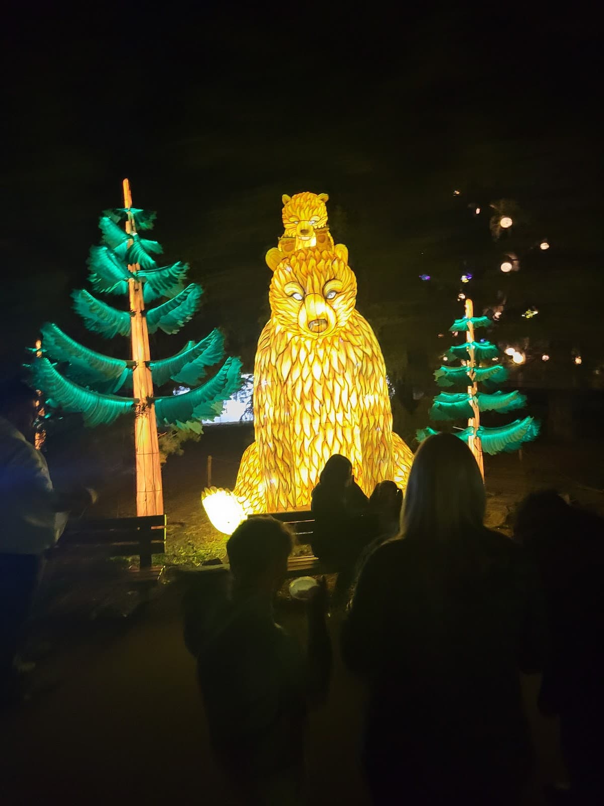 Denver Zoo Lights