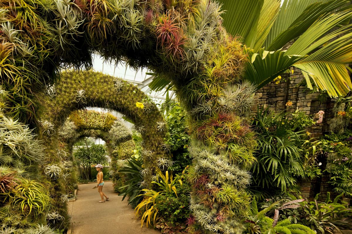 UNC Charlotte Botanical Gardens