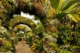 UNC Charlotte Botanical Gardens