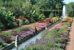 UNC Charlotte Botanical Gardens