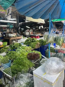The Other Side of Bangkok