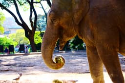 Ecoparque ex Zoo de palermo