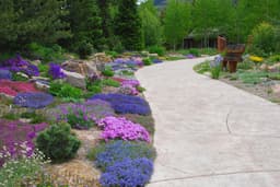 Betty Ford Alpine Gardens