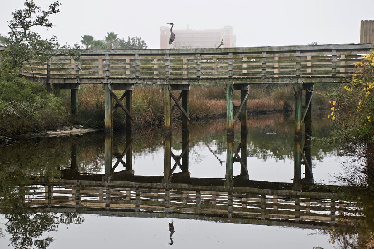 Graham Creek Nature Preserve