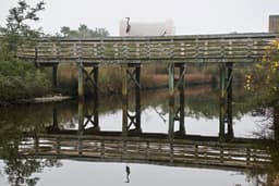Graham Creek Nature Preserve