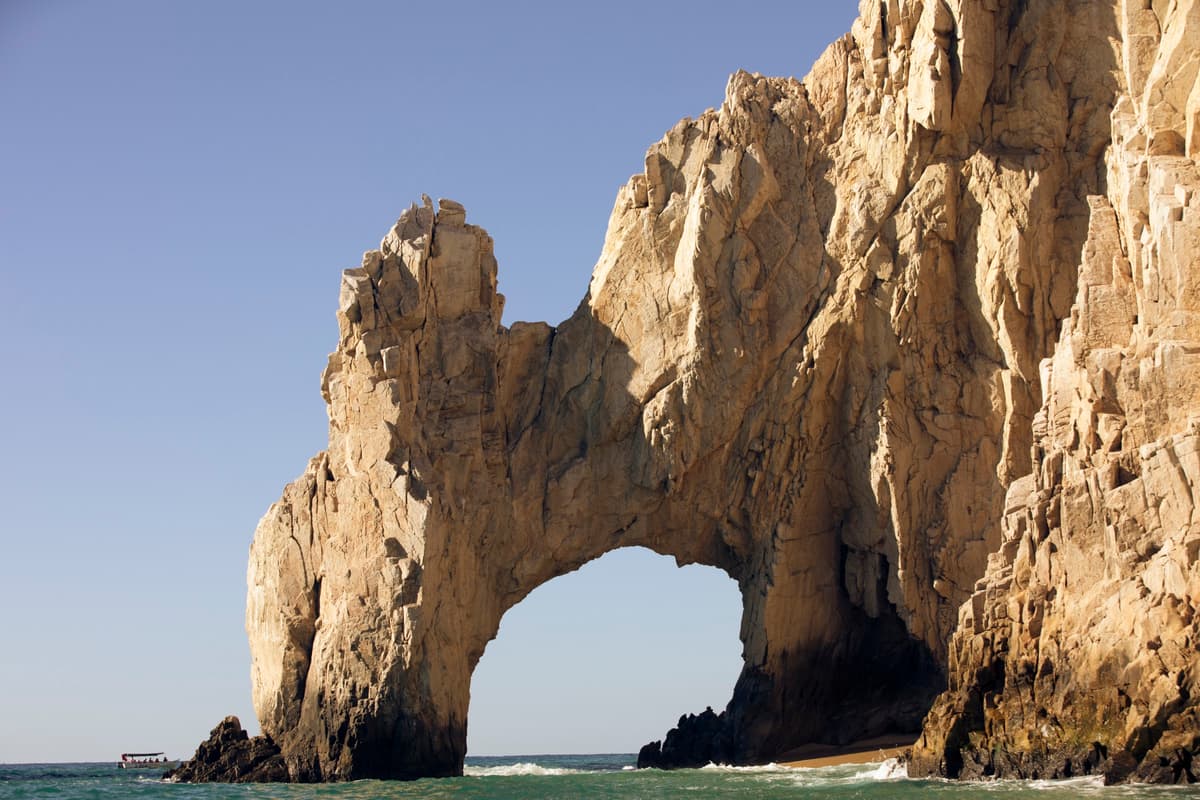 My Cabo Activities / Activities & Tours in Cabo