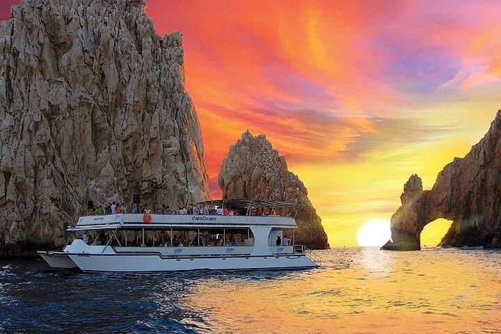 My Cabo Activities / Activities & Tours in Cabo