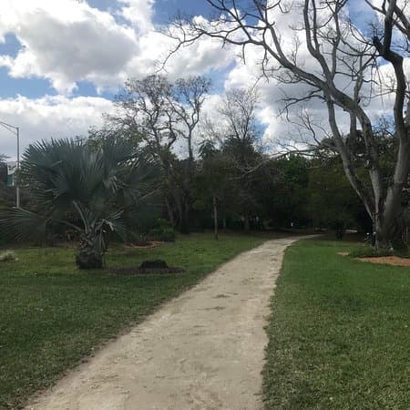 USF Botanical Gardens, photo 1 of 2