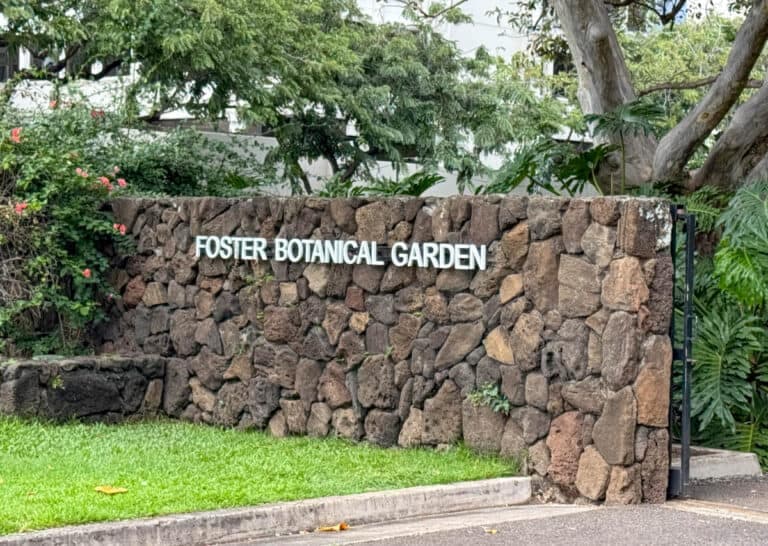 Foster Botanical Garden