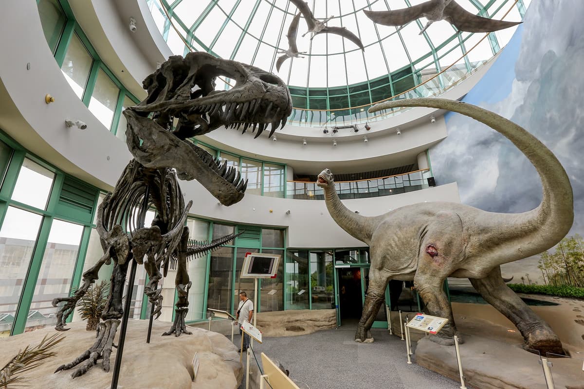 North Carolina Museum of Natural Sciences