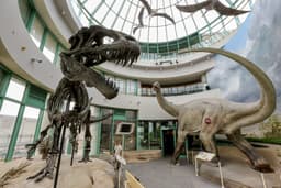 North Carolina Museum of Natural Sciences